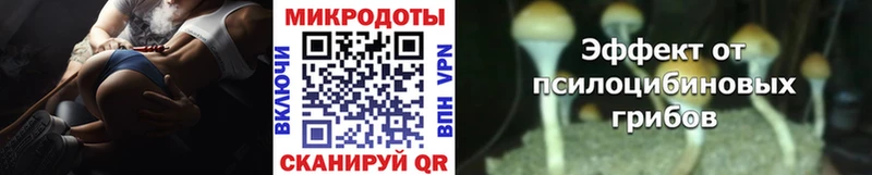 Купить закладки  Рубцовск  Псилоцибиновые грибы Magic Shrooms 